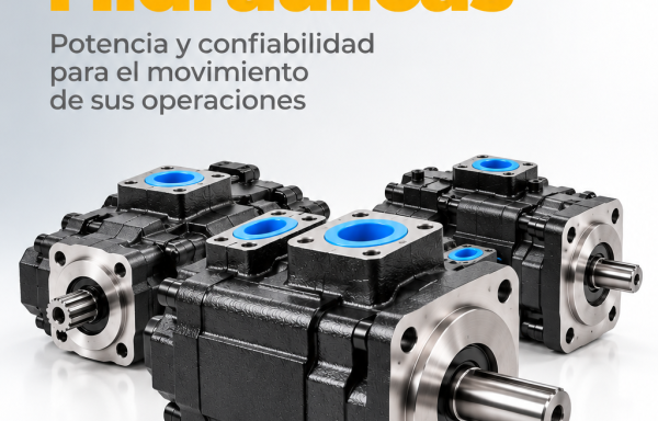 Bombas Hidráulicas
